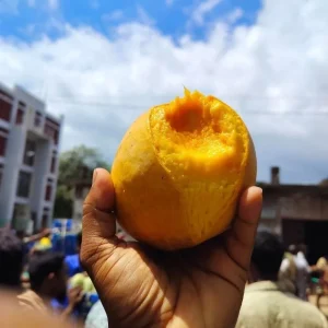 Bari-4-বারি-৪