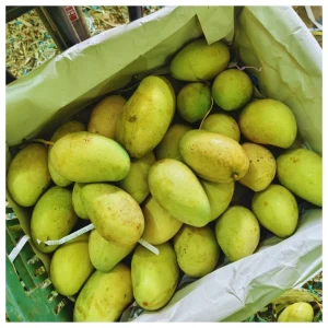 Amrupali-আম্রপালি